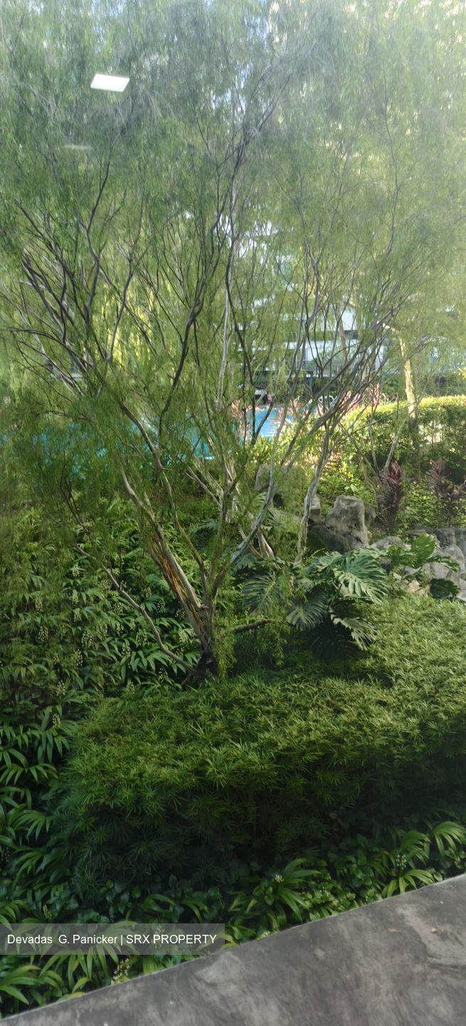 Eight Courtyards (D27), Condominium #594470301